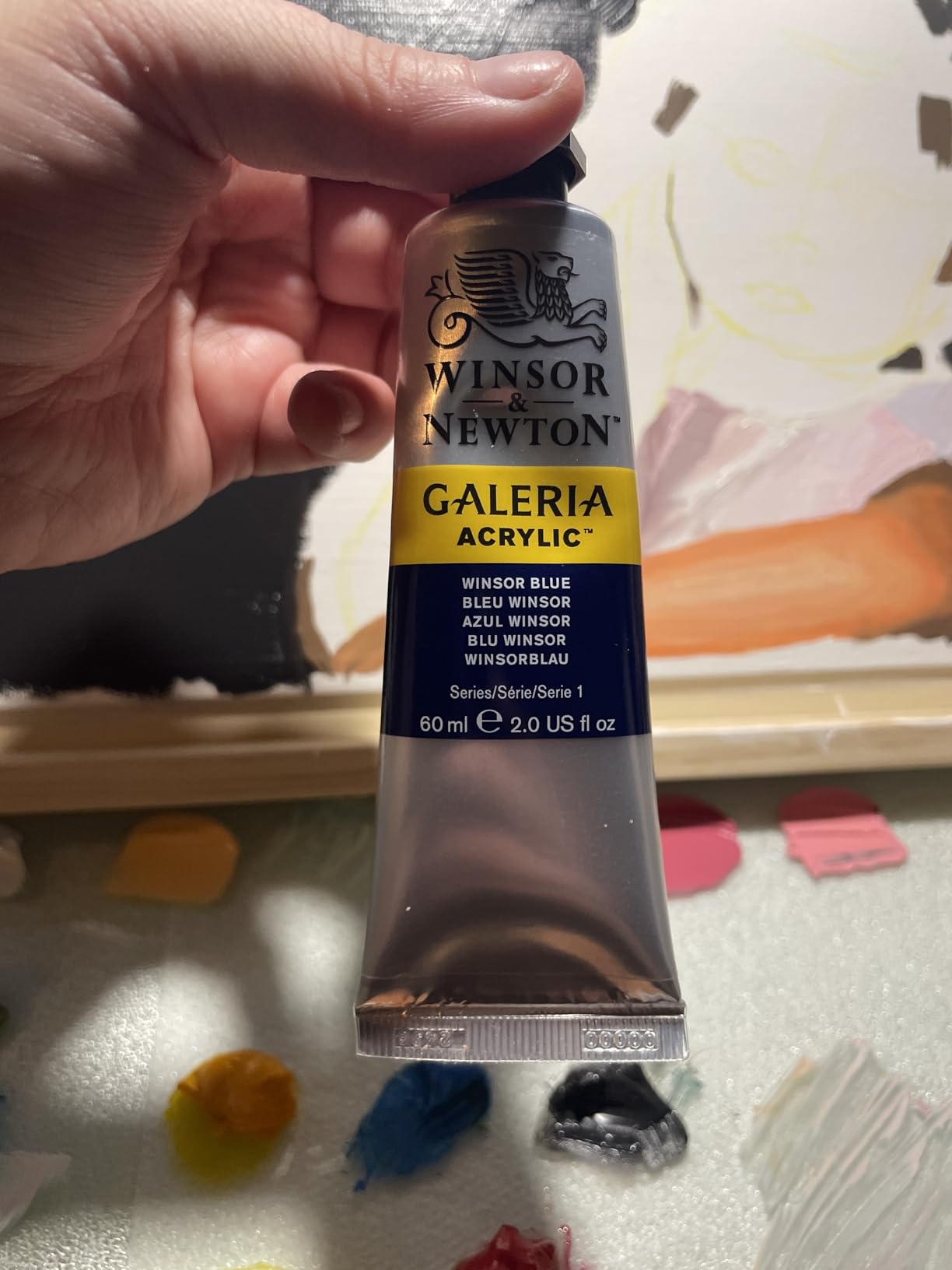 Winsor & Newton Galeria Acrylic Paint, 20 x 12ml (0.4-oz) Tube Paint Set customer photo 1