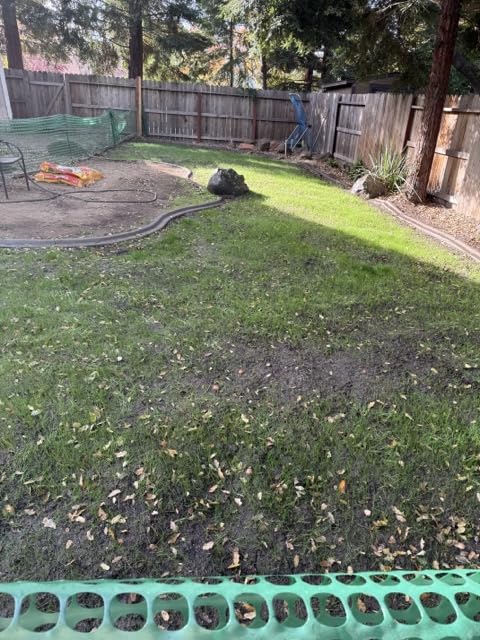Pennington Smart Seed Dense Shade Grass Mix 3 lb customer photo 2