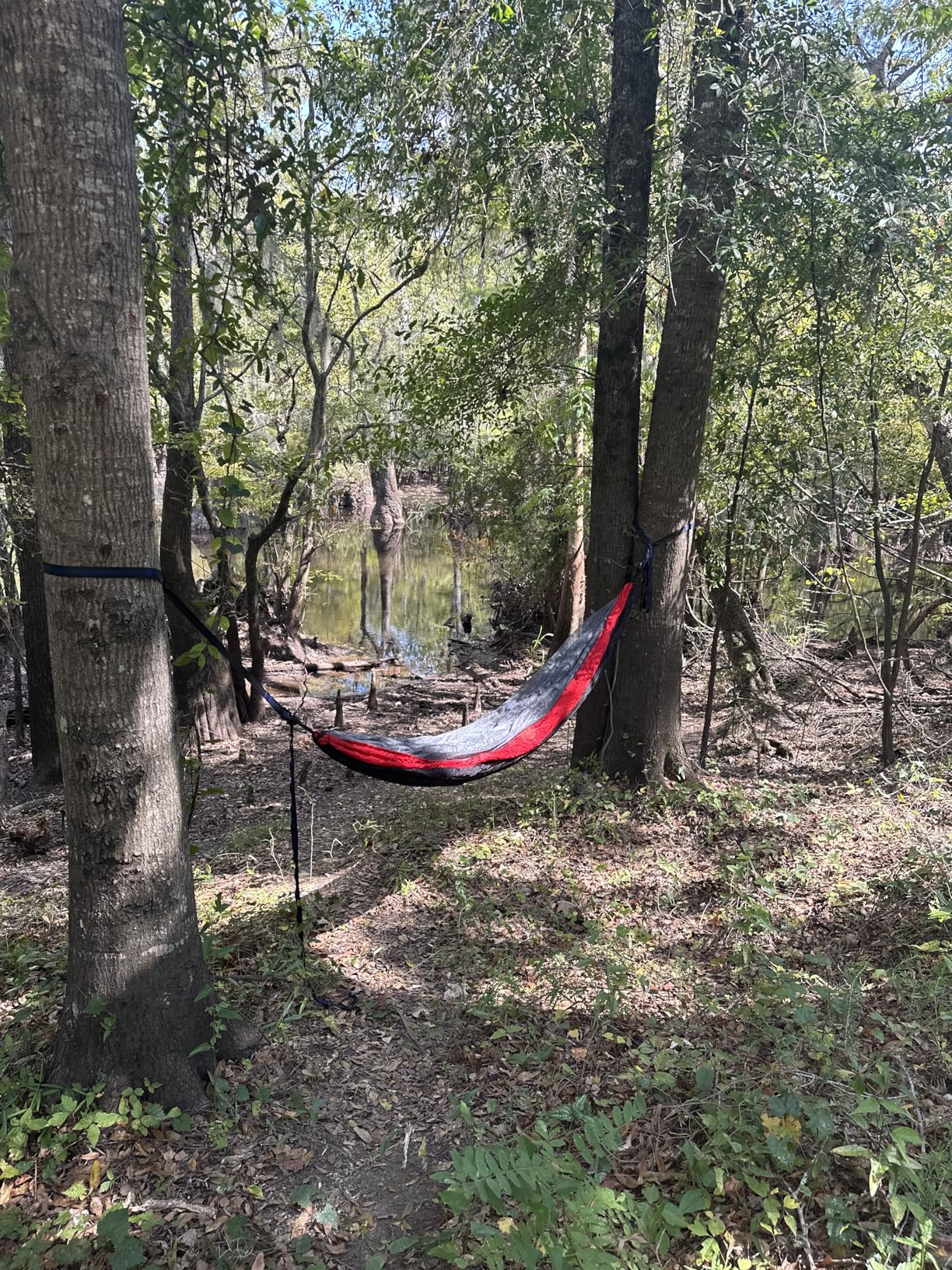 Qevooon Camping Hammock with Net, Travel Portable Lightweight Hammocks with Tree Straps and Solid D-Shape Carabiners customer photo 1