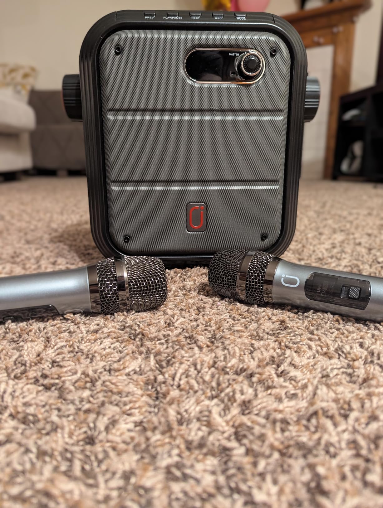 JYX Karaoke Machine with 2 Wireless Microphones, 5200mAh Portable Speaker Set Bluetooth 5.0 Rechargeable PA System with TWS,FM, REC,Stage Subwoofer customer photo 2