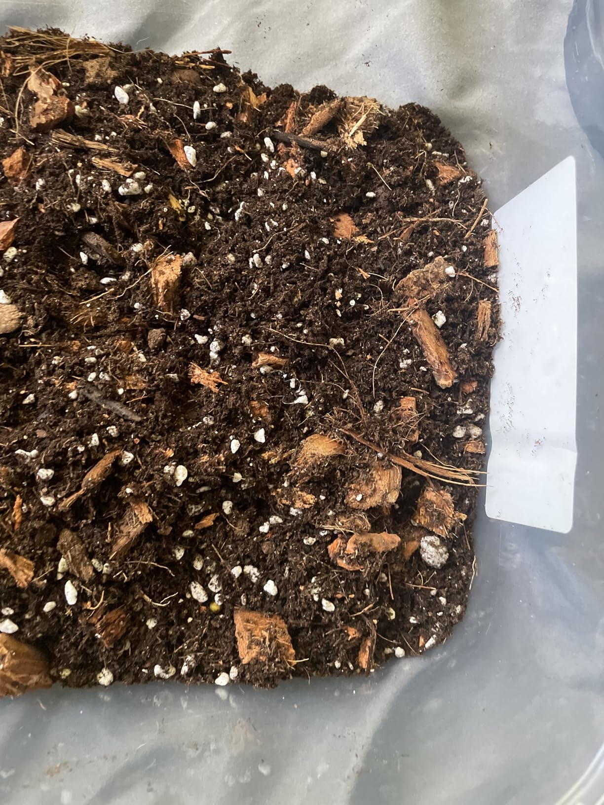 Brut Organic Worm Castings for Plants 5 LB - Natural Nutrients, Fertility Builder, Plant Food for Potting Soil and Garden Soil - Indoor and Outdoor Use customer photo 1