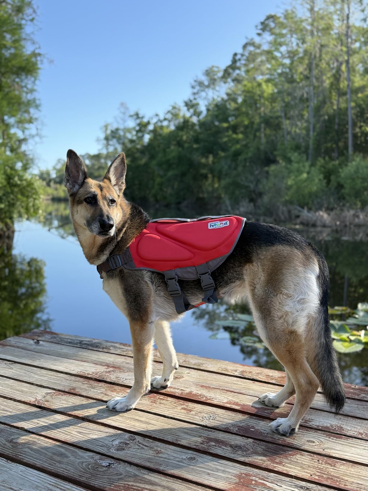 Outward Hound Dawson Swim Dog Life Jacket, High-Performance Neoprene Dog Life Vest for Swimming, Boating, and Water Safety, XL, Green customer photo 2