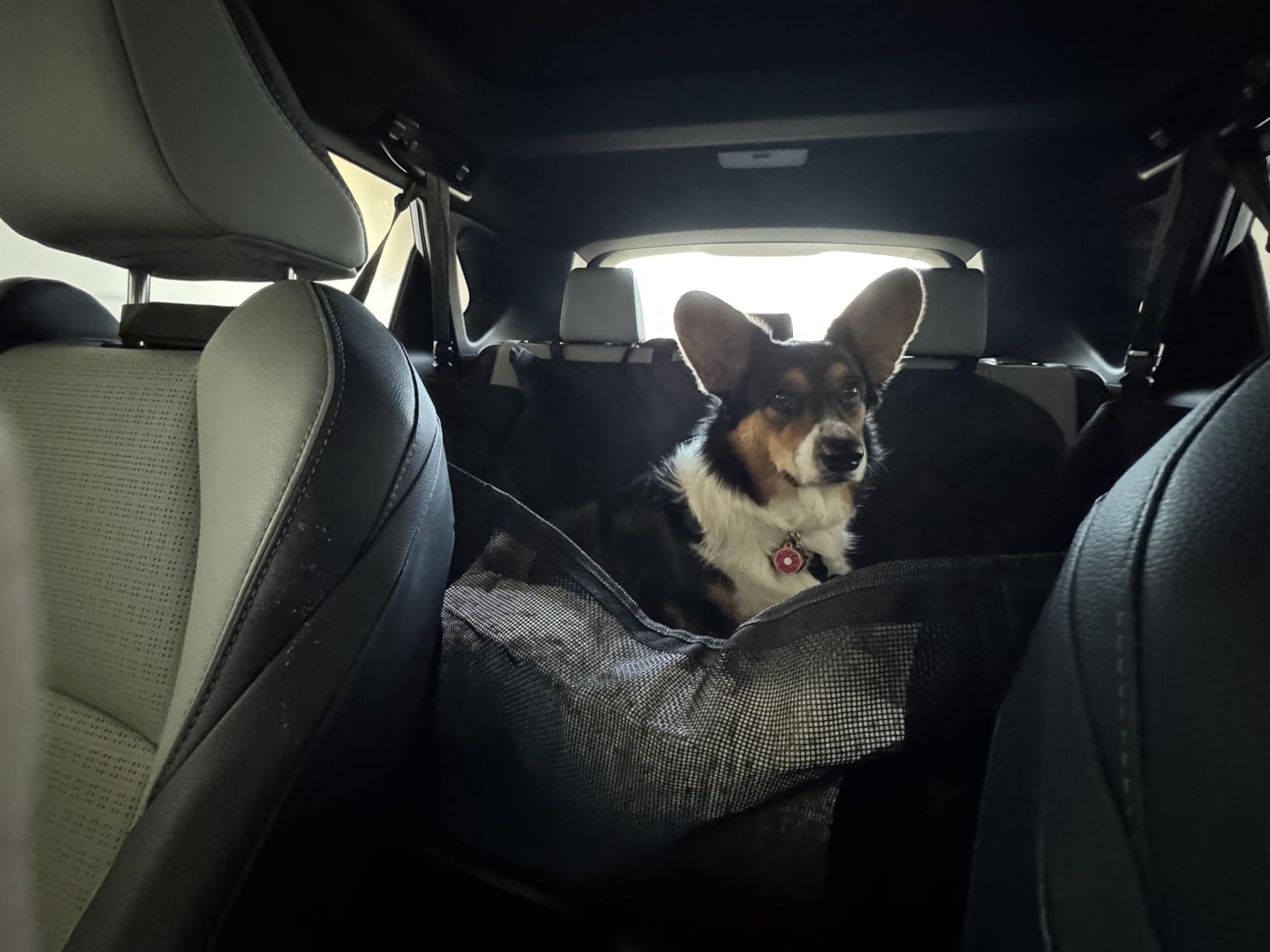 URPOWER Dog Car Seat Cover for Pets 100% Waterproof Seat Cover Hammock 600D Heavy Duty Scratch Proof Nonslip Durable Soft Back Seat Covers for Cars Trucks and SUVs customer photo 1