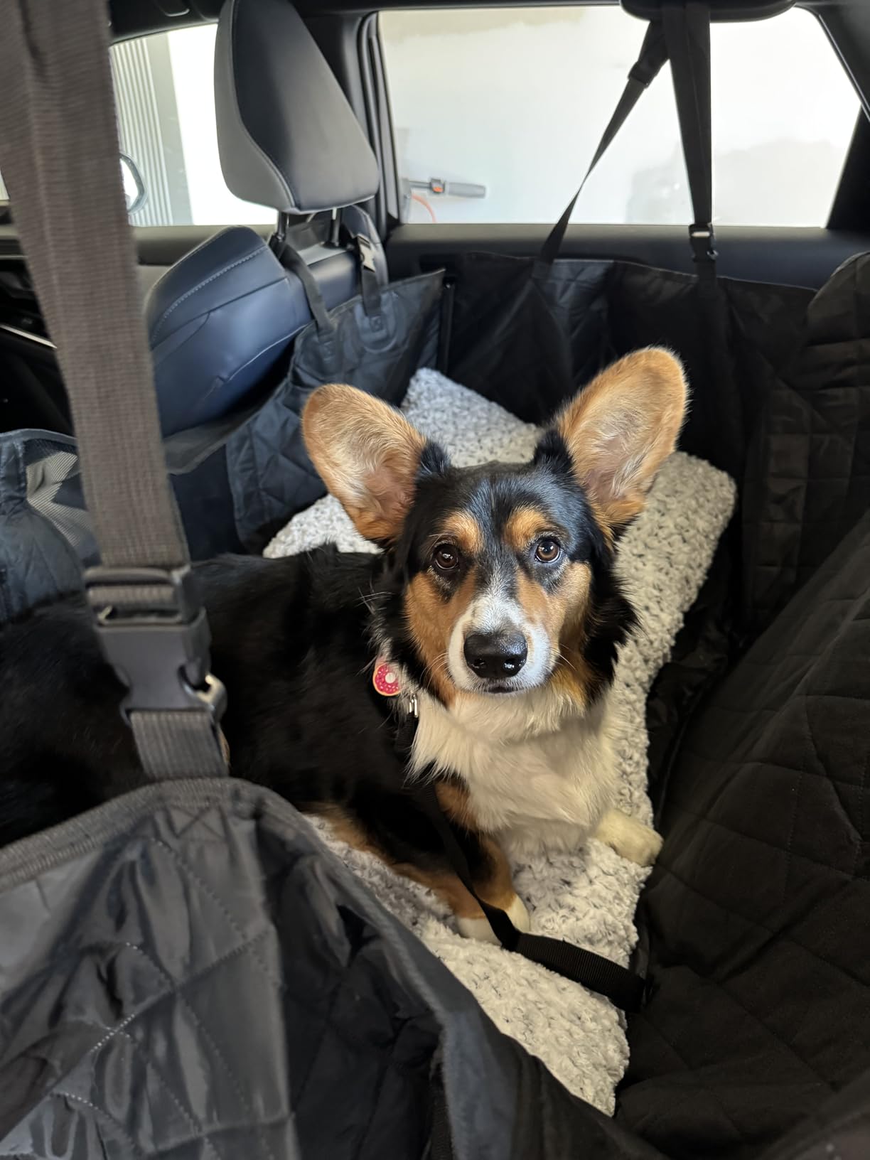 URPOWER Dog Car Seat Cover for Pets 100% Waterproof Seat Cover Hammock 600D Heavy Duty Scratch Proof Nonslip Durable Soft Back Seat Covers for Cars Trucks and SUVs customer photo 2