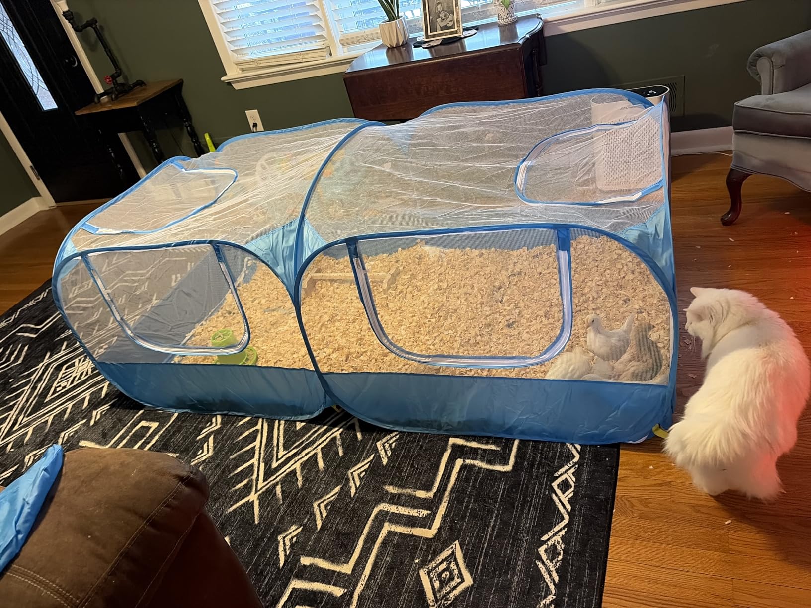 Lukovee Small Animals Playpen, Chicken Pen with Escape-Proof Detachable Bottom & 4 Zipper Doors, Breathable Foldable Portable Large Chicken Run Coop for Puppy Duck Kitten Rabbits Outdoor Yard, Blue customer photo 1