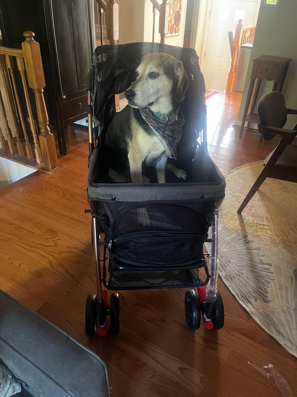 HPZ-PR America HPZ Pet Rover Premium Heavy Duty Dog/Cat Stroller Travel Carriage with Zipperless Entry, Pump-Free Rubber Tires for Small, Medium, Large Pets customer photo 2