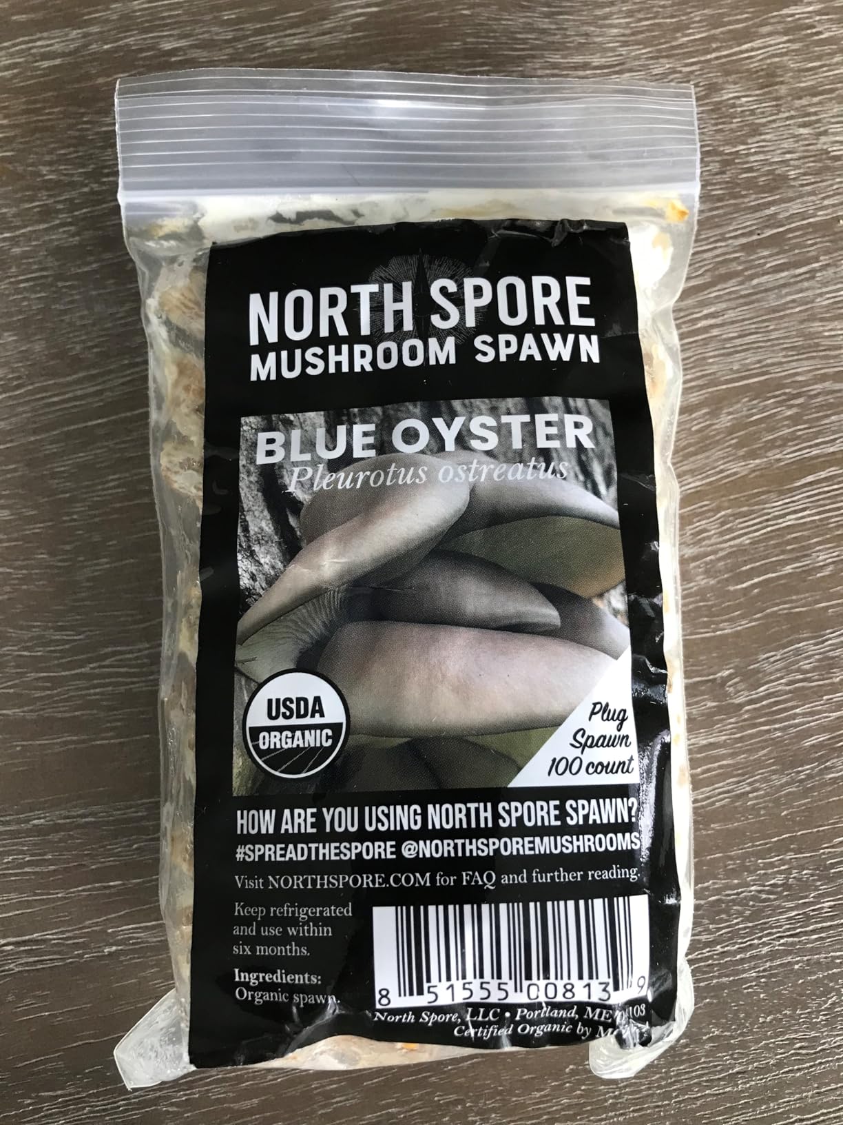 North Spore Organic Blue Oyster (100 ct) Mushroom Plugs for Logs | Premium Quality Mushroom Plug Spawn | Handmade in Maine, USA | Grow Gourmet Mushrooms Outdoors on Logs | Pleurotus ostreatus customer photo 2