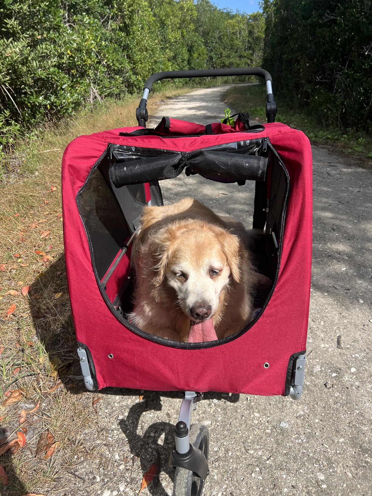 DOGGYHUT Premium Large/XL Pet Bike Trailer & Stroller for Large Sized Dog or Multiple Small Dogs,Low Center of Gravity,Parking Brakes,Easy Folding Frame,Bicycle Carrier customer photo 1