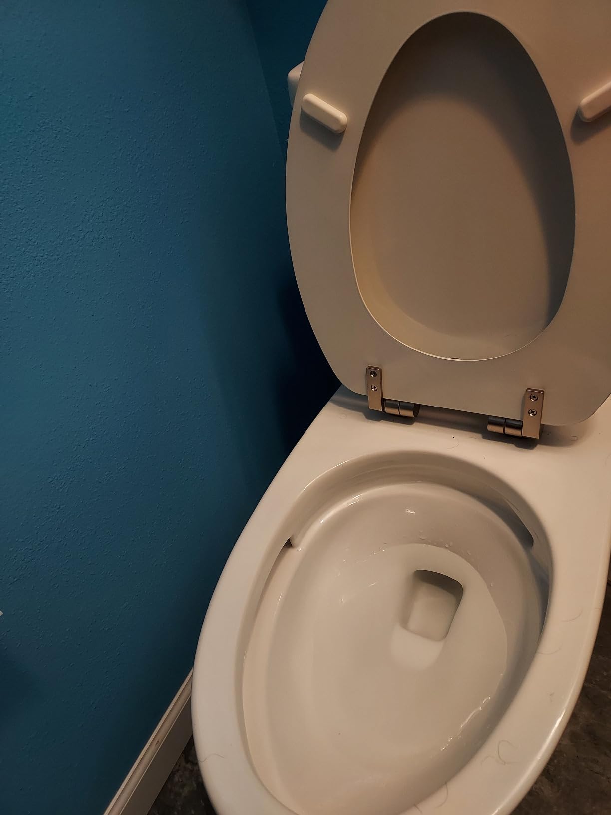 TOTO Drake Two-Piece Elongated 1.6 GPF Universal Height TORNADO FLUSH Toilet with CEFIONTECT, Cotton White customer photo 1