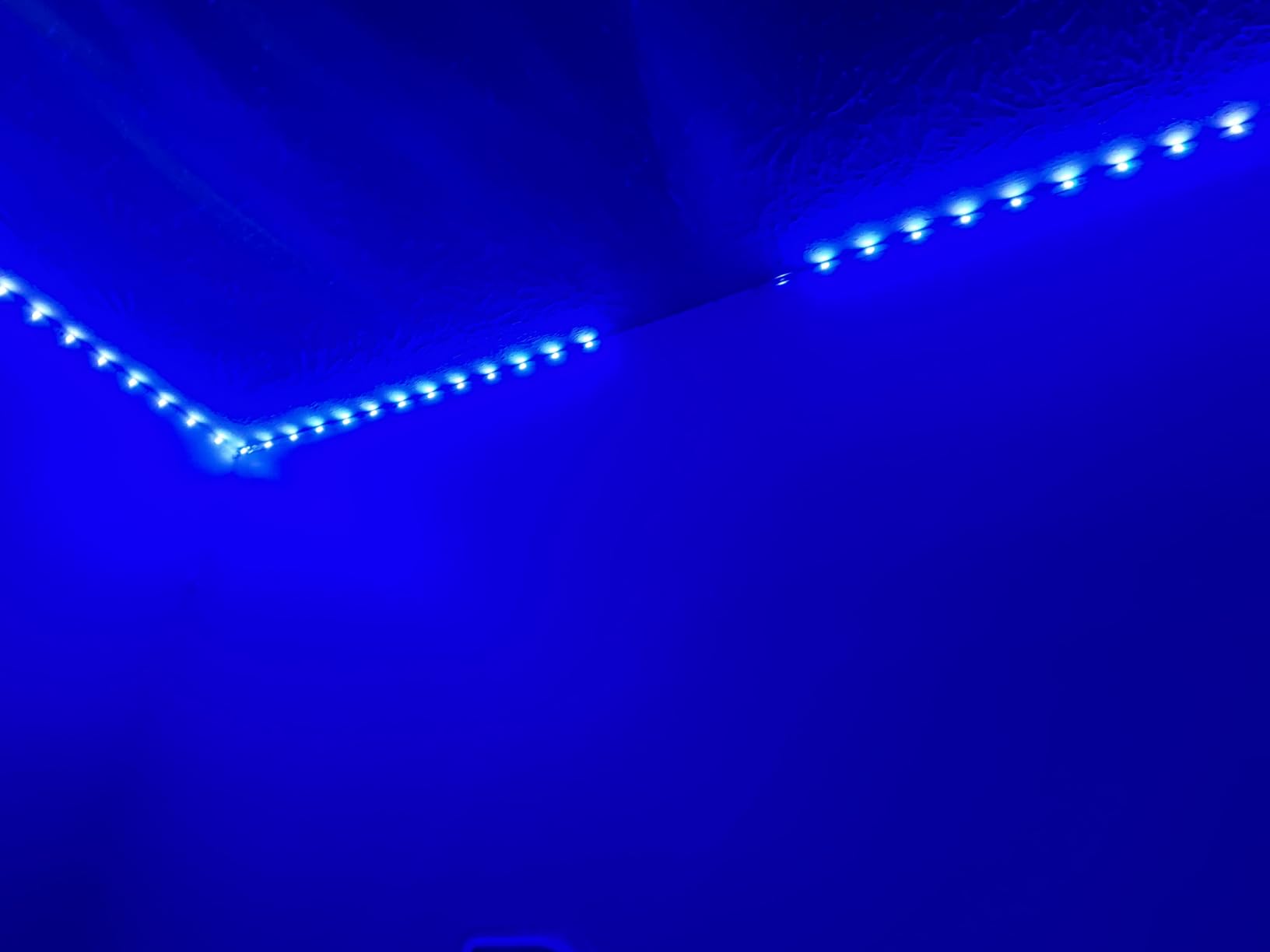 LIFX RGBIC Alexa LED Strip Light 32.8ft, Smart WiFi LED Lights Work with Alexa and Google Assistant, Segmented DIY, Music Sync, Color Changing LED Strip Lights for Room, Kitchen, Desk, Holiday customer photo 2