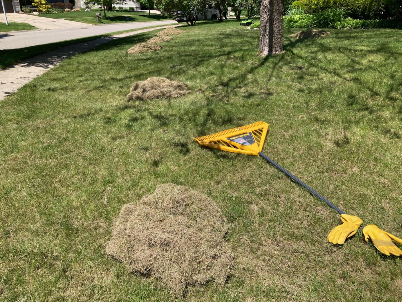 Greenworks 13 Amp 14-Inch Corded Dethatcher / Scarifier, DT13B00 customer photo 2
