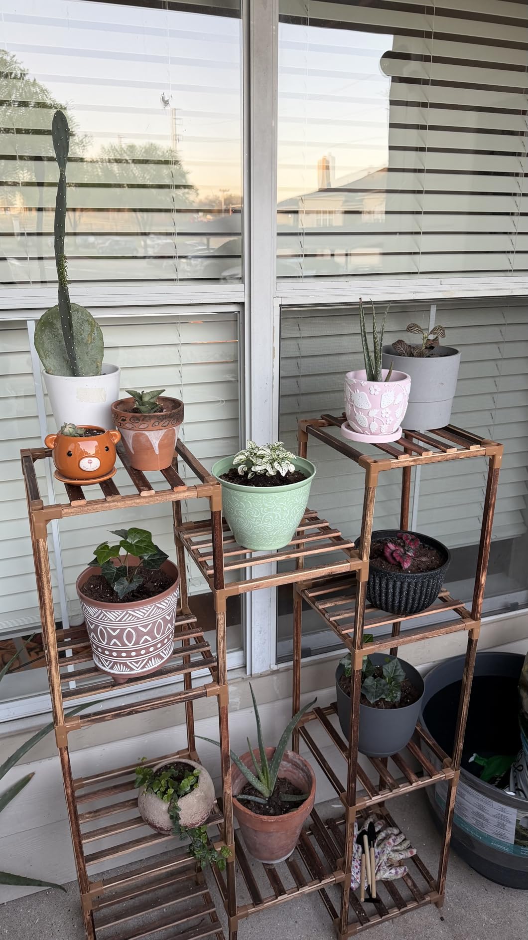 Uneedem Plant Stand Indoor Outdoor, Tall Plant Shelf for Multiple Plants, 10 tiers 11 Pot Large Plants Holder Rack Wood customer photo 1