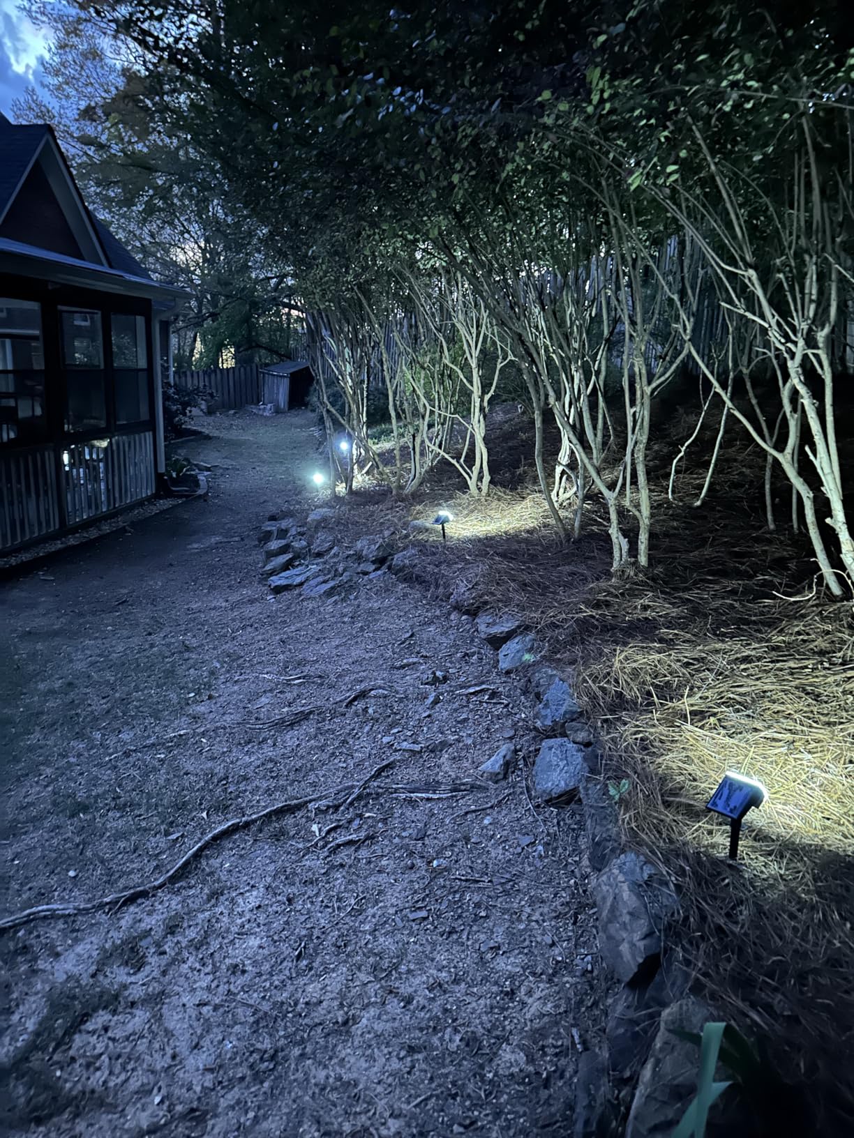 WELALO Solar Spot Lights Outdoor, [6 Pack/65 LED/3 Modes] Solar Landscape Spotlights, Solar Powered Christmas Halloween Lights, IP68 Waterproof Wall Lights for Walkway Yard Garden Driveway(Cool White) customer photo 2