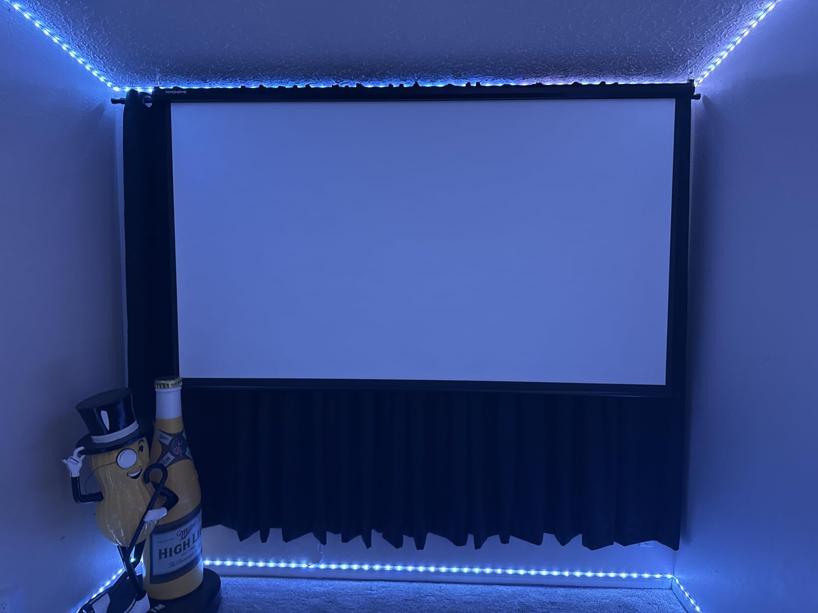 VIVOHOME 120 Inch 1:1 Pull Down Projector Screen, HD 4K Retractable Movie Screen for Indoor Home Theater and Office, Manual Projection Screen with Auto Locking customer photo 2