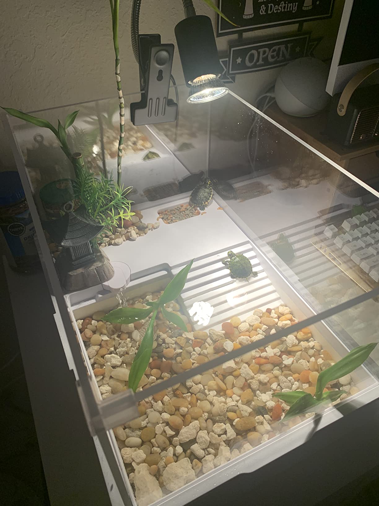 Acrylic Turtle Tank Aquarium with Quiet Water Pump, 3.96gallons, 360 Degree View, Easy to Assemble, Durable for Small Turtles and Reptiles customer photo 1