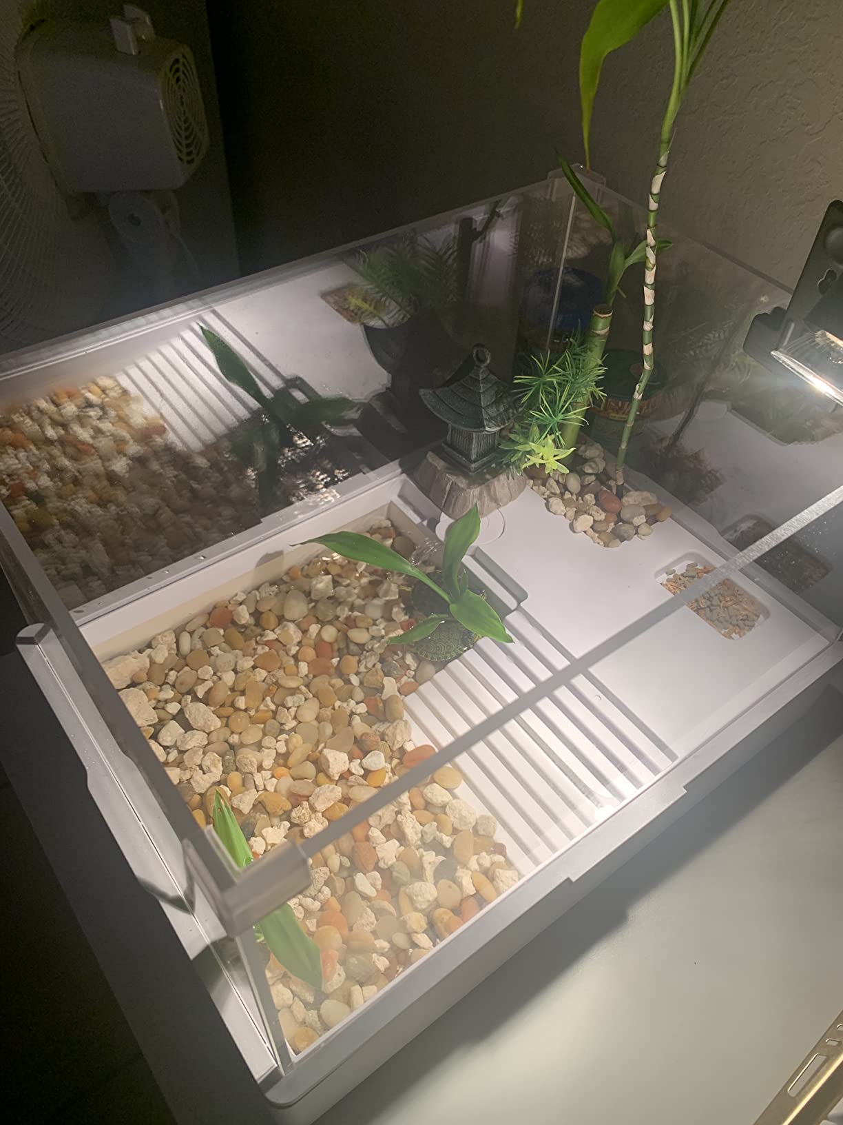 Acrylic Turtle Tank Aquarium with Quiet Water Pump, 3.96gallons, 360 Degree View, Easy to Assemble, Durable for Small Turtles and Reptiles customer photo 2