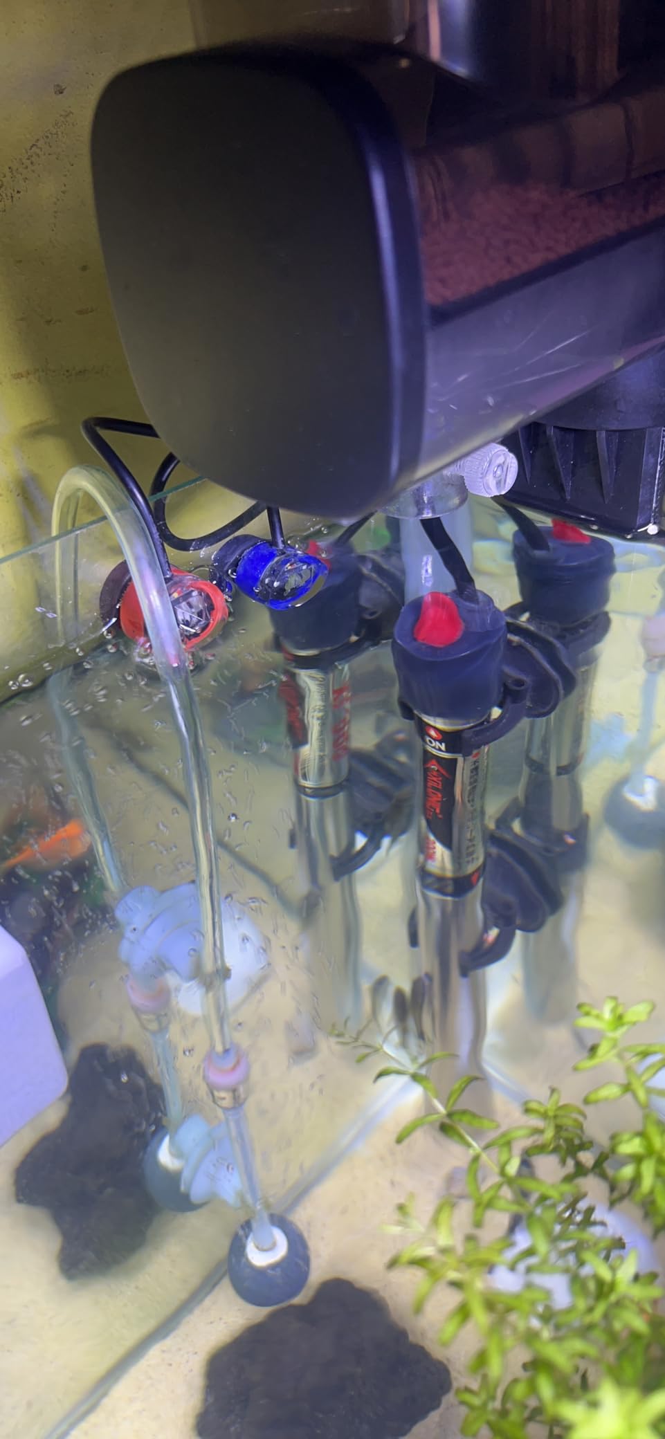 Kamoer New ATO One 2 SE smart auto top Off System Silent Water Replenisher Water Level Controller for Fish Tank Water Tank Aquarium customer photo 2