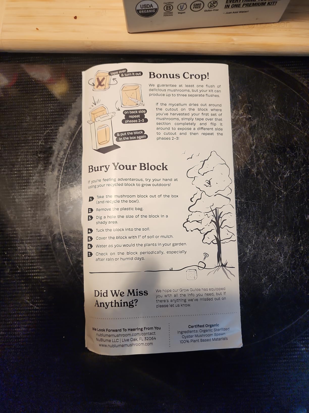 BloomBox Blue Oyster Mushroom Grow Kit - Ready to Fruit Indoor Gardening Gift - Organic Spawn Log for Fresh Fungi in 10 Days - Unique DIY STEM Science Project for Kids & Adults - Vegan Meat Substitute customer photo 1