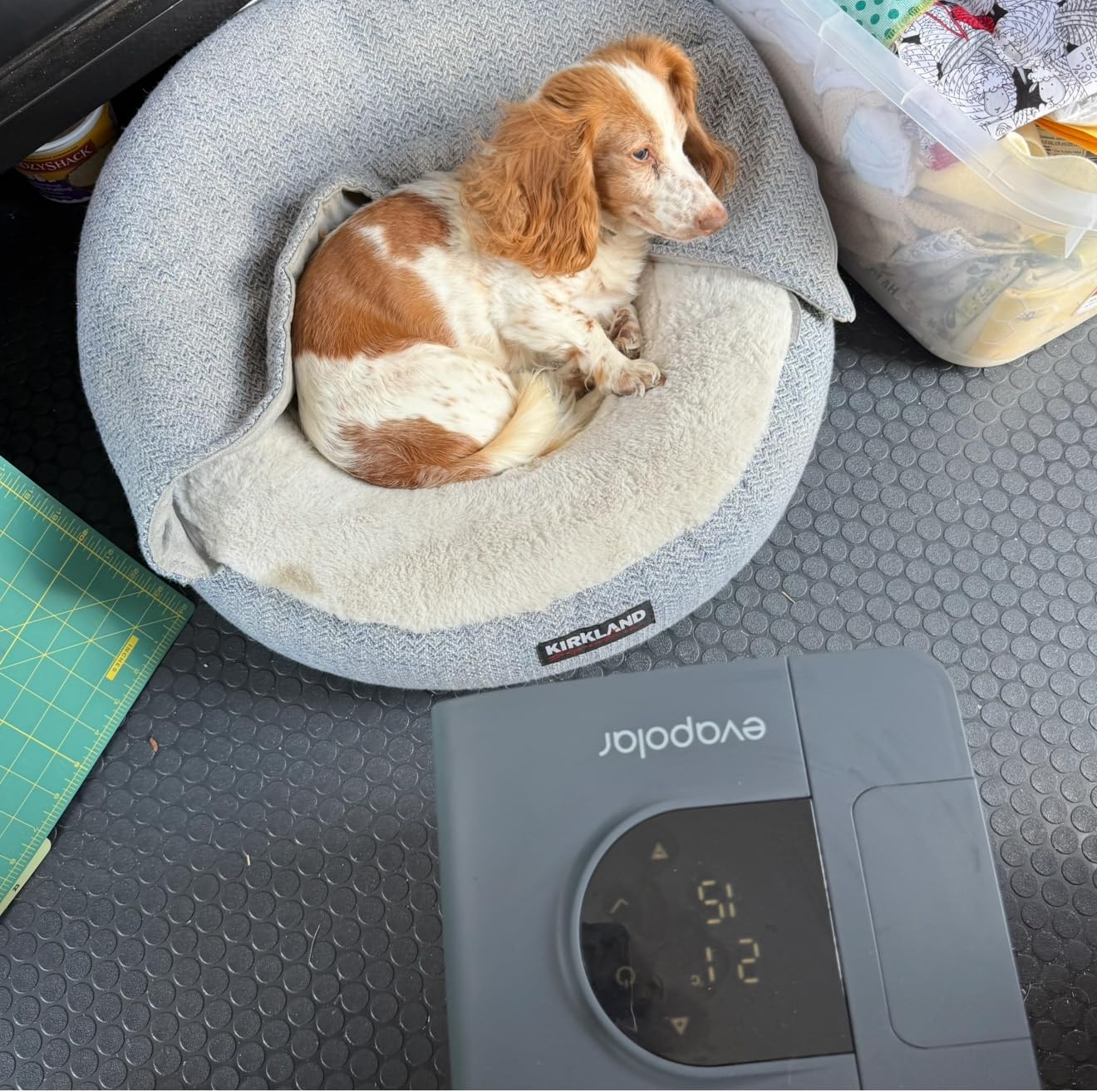 Cooling Fan for Desk and Camping - Portable Air Conditioners - Small Ice Fan for Tent - Mini Swamp Cooler - Evaporative Air Cooler, Evasmart Grey customer photo 2