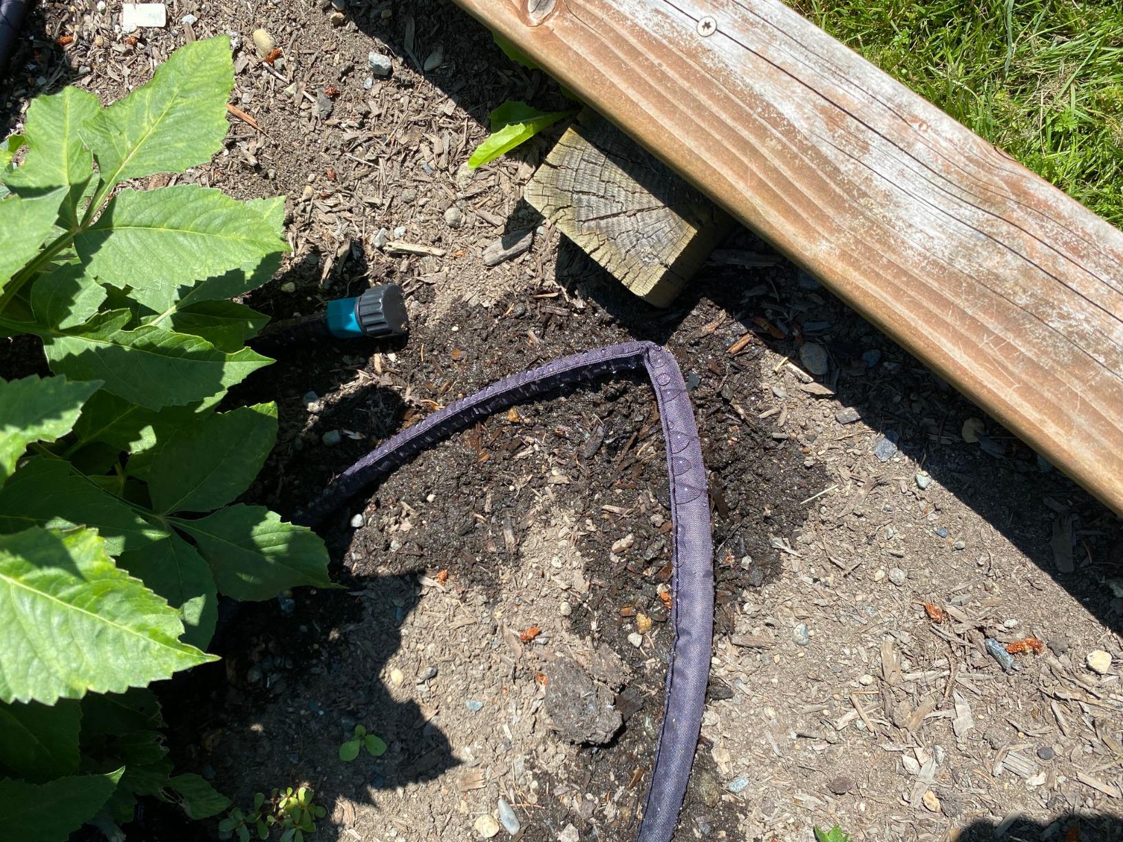 Melnor 65159AMZ 50' Soaker Hose, Black/Green customer photo 1