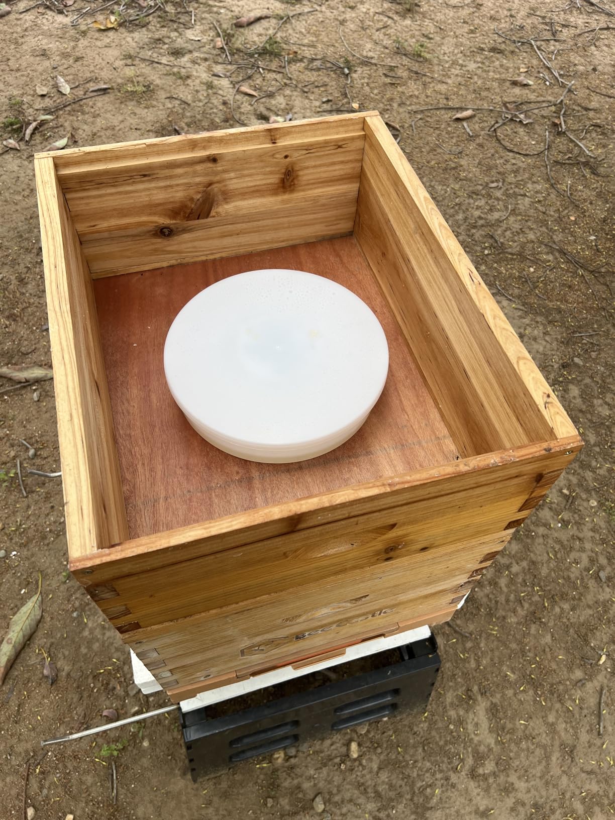 Aukbeefun 2 Pcs Rapid Round Bee Feeder White Bee Hive Top Feeder Professional Beekeeping Equipment customer photo 1