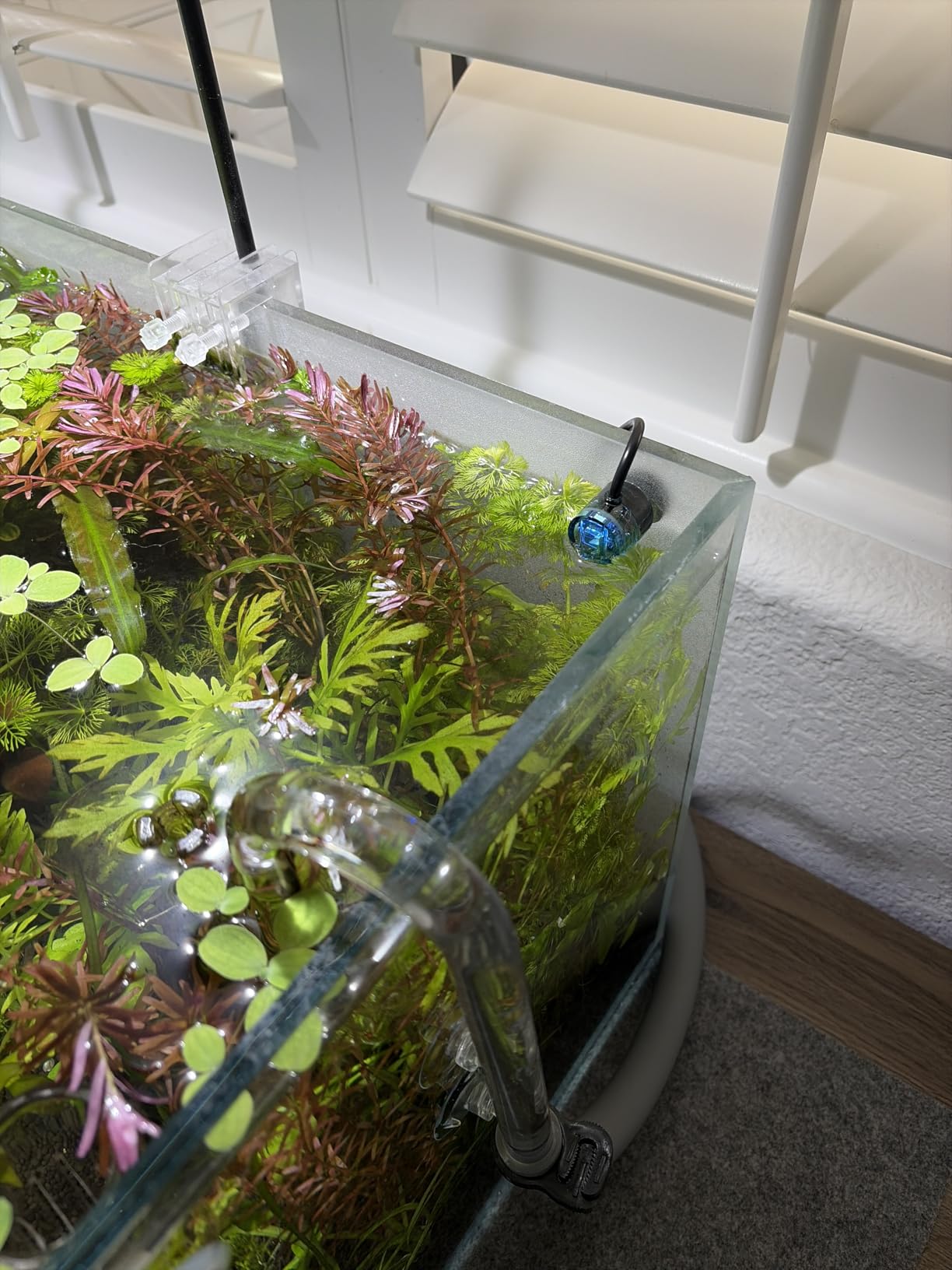 Fzone Aquarium ATO Auto Top Off Refilling System with Dual Optical Sensor for Both Reef and Fresh Tank (Green) customer photo 1