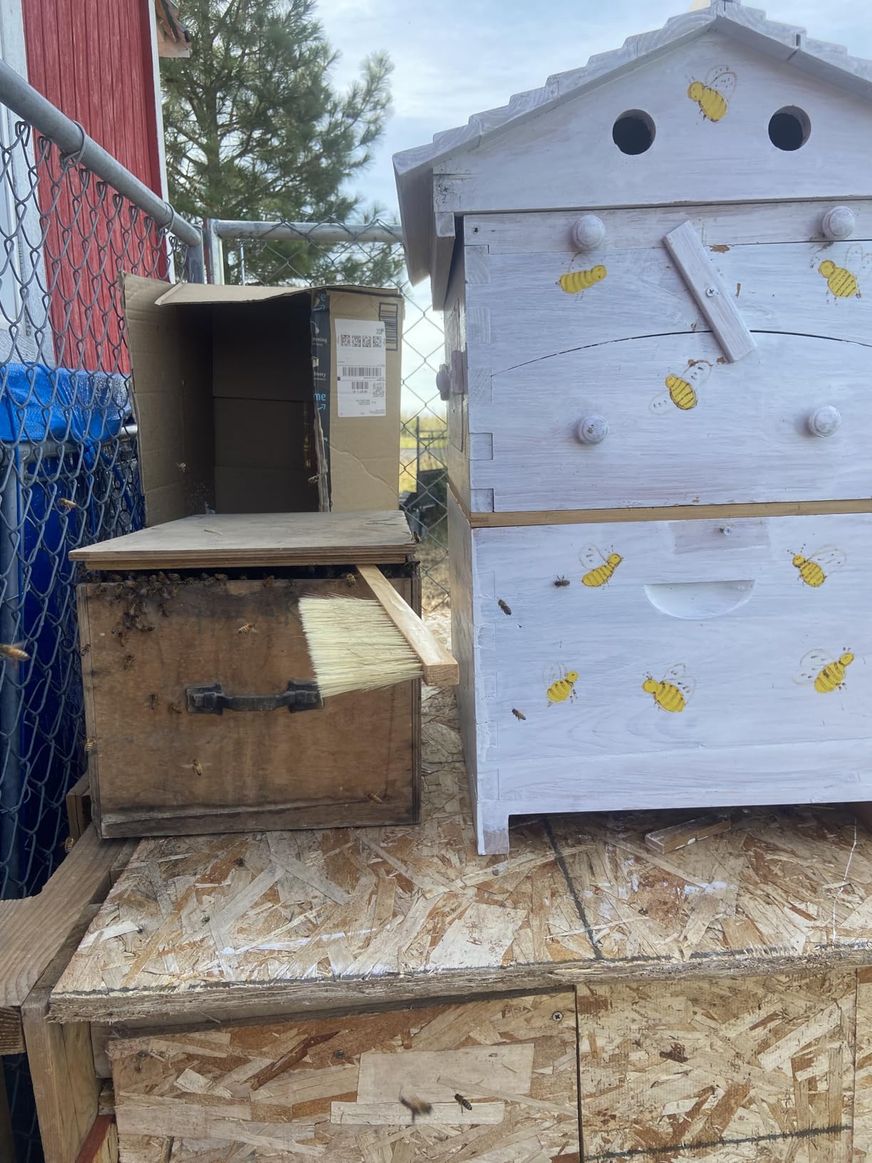 Flows Hive Beehive Complete Kit,Bee Hives Boxes Starter Kit - Wooden Beekeeping House Beehive Boxes,Food Grade BPA Free (Beehive Frame+Wooden Box) customer photo 1