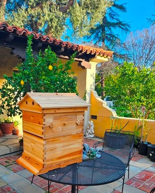 Flows Hive Beehive Complete Kit,Bee Hives Boxes Starter Kit - Wooden Beekeeping House Beehive Boxes,Food Grade BPA Free (Beehive Frame+Wooden Box) customer photo 2