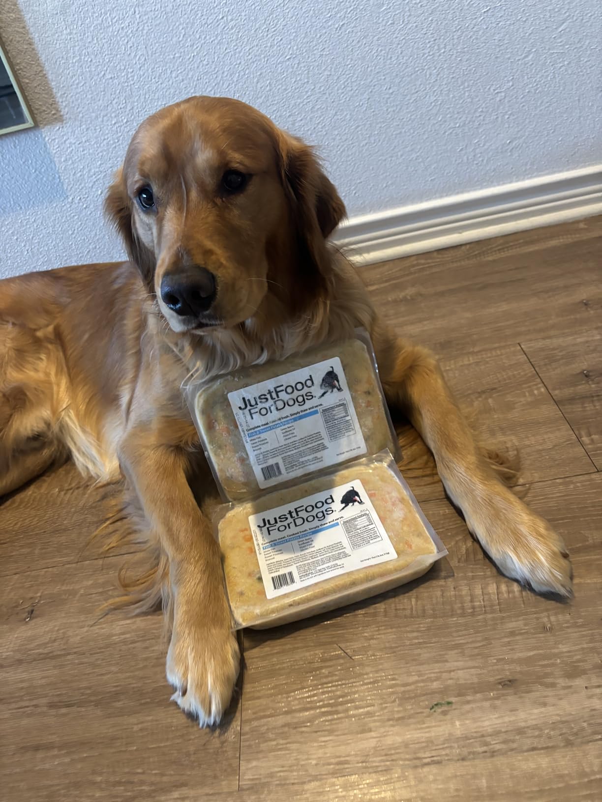JustFoodForDogs Frozen Fresh Dog Food Toppers and Meals, Human Grade, Balanced Fresh Pet Meal or Topper, No Preservatives, Limited Ingredient Recipe, Fish & Sweet Potato 18 oz - 7 Pack customer photo 1