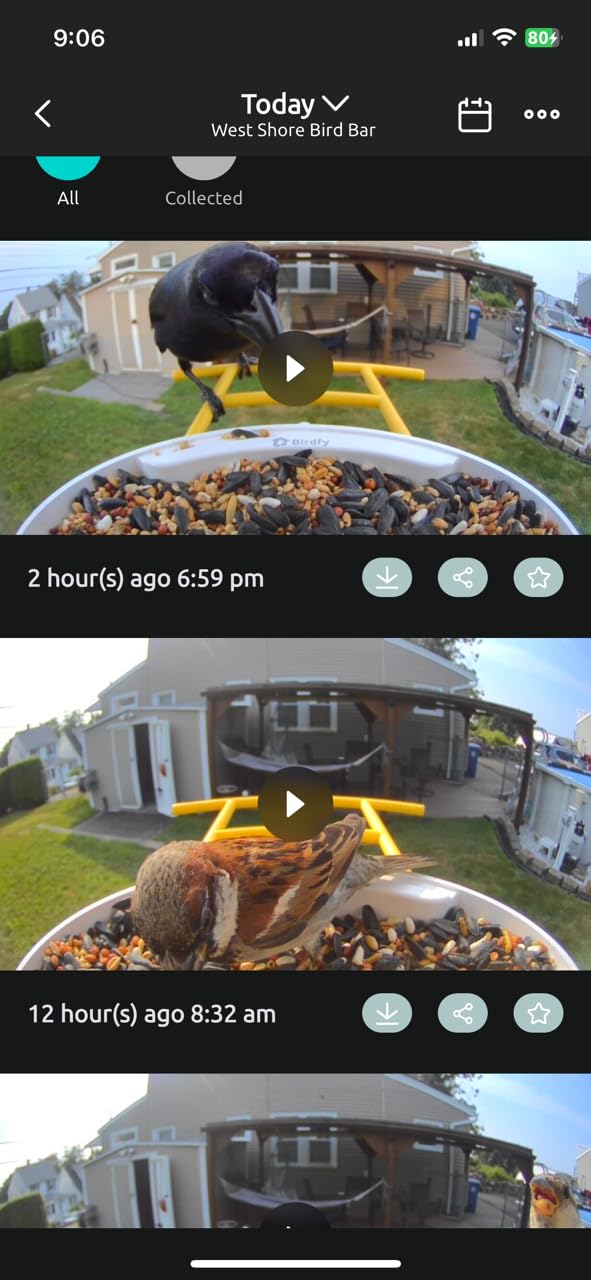 NETVUE by Birdfy Smart Bird Feeder with AI Camera, Auto Capture Videos & Motion Detection, Live Steam, Wireless Wildbird Watching, Outdoor Backyard Birder customer photo 2
