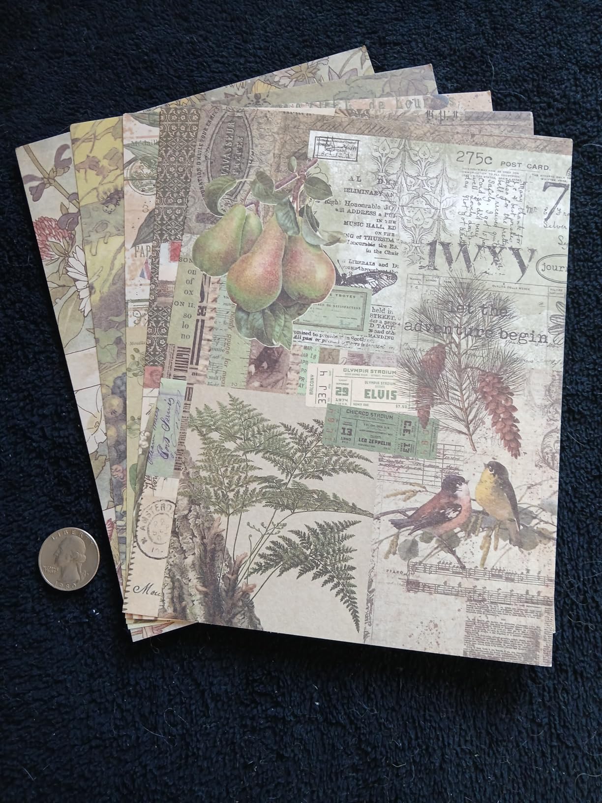 emmoolife Vintage Aesthetic Scrapbooking Supplies Kit, Flowers Botanical Bullet Junk Journal Kit with Journaling Supplies, Tweezers, A6 Grid Notebook, Stationery, Sticker, Birthday Craft Gift for Adult customer photo 2