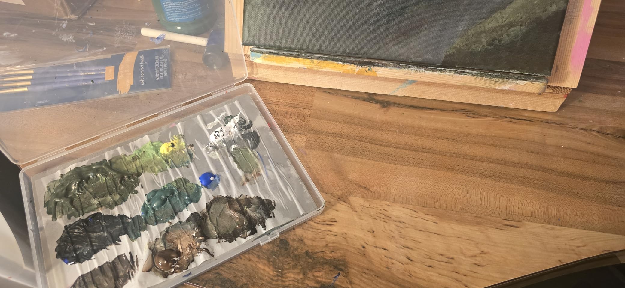 Stay Wet Palette for Acrylic Painting Garpernics Wet Palette Tray with Sponges and 100 Papers for Acrylic Paints, Keep Paint Wet and Fresh for Miniatures customer photo 1