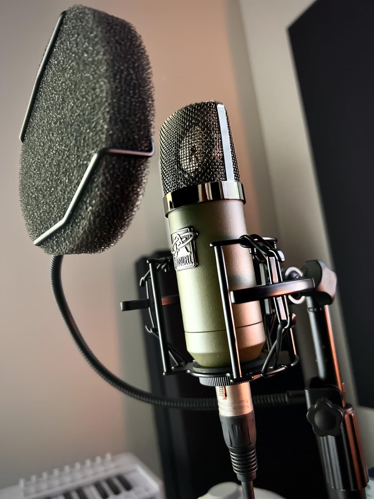 Pop Filter for Microphone - Sponge Layered Pop Wind Screen with Enhanced Flexible 360° Gooseneck customer photo 1