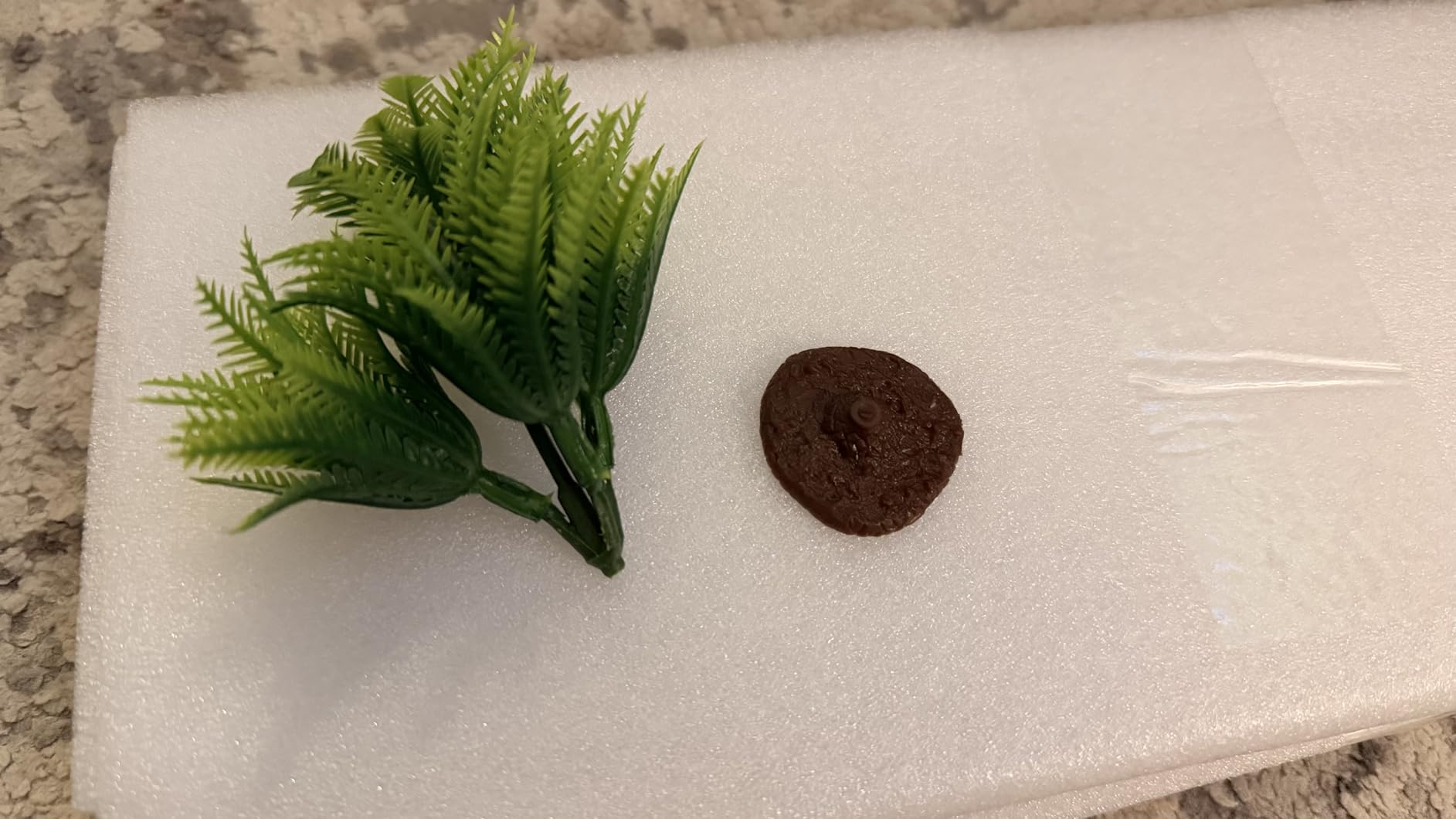 MoonOrange Small Turtle Tank Kit(Tank+Light+Filter), Acrylic Turtle Tank Starter Kit with Bask Platform, Bottom Drain, Multi-Function Area for Small Reptiles.(White) customer photo 2