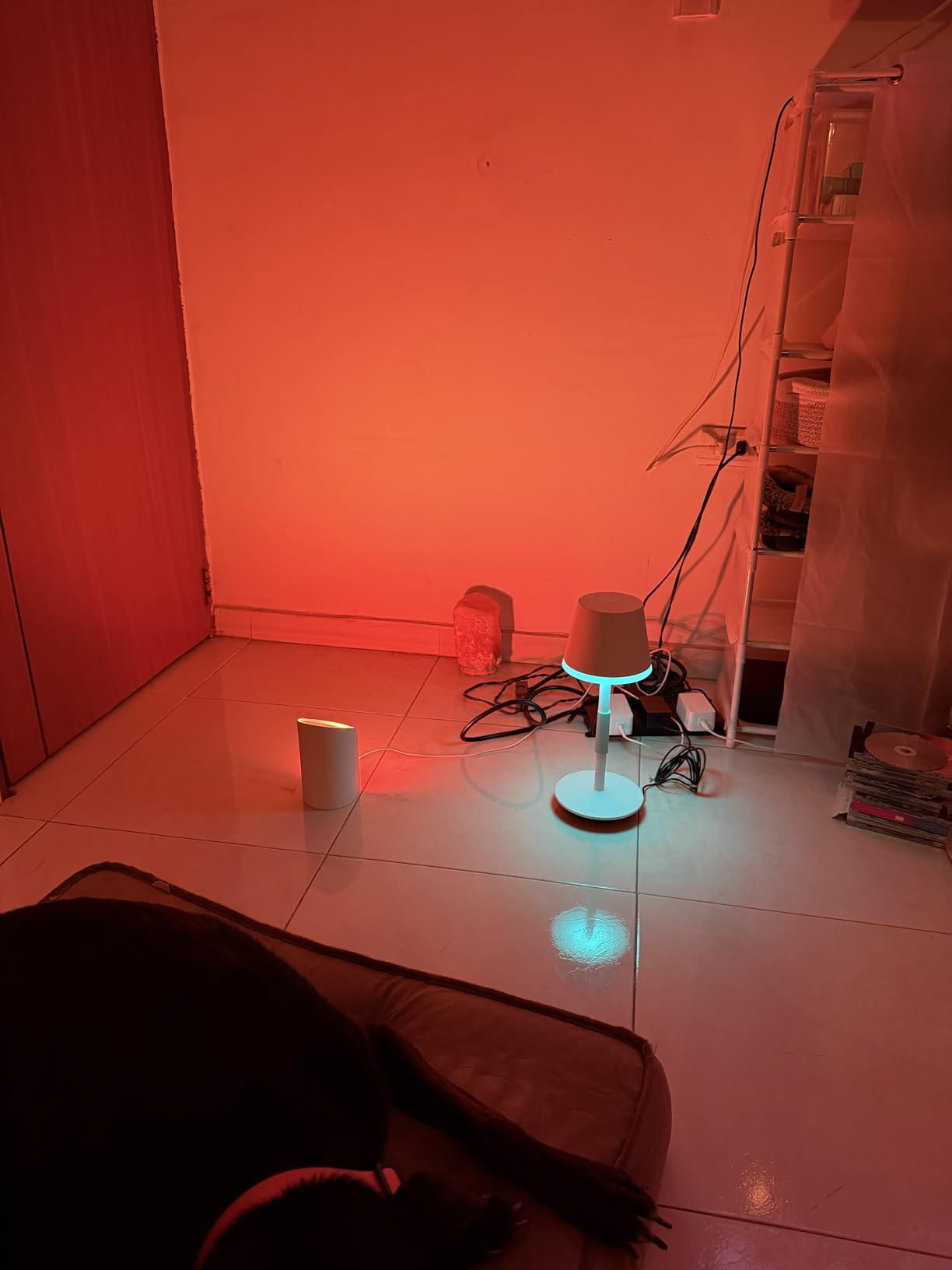 Philips Hue Go Smart Portable Table Lamp, White and Color Ambiance LED Color-Changing Light, Indoor and Outdoor Use, Control with Hue App or Voice Assistant customer photo 1