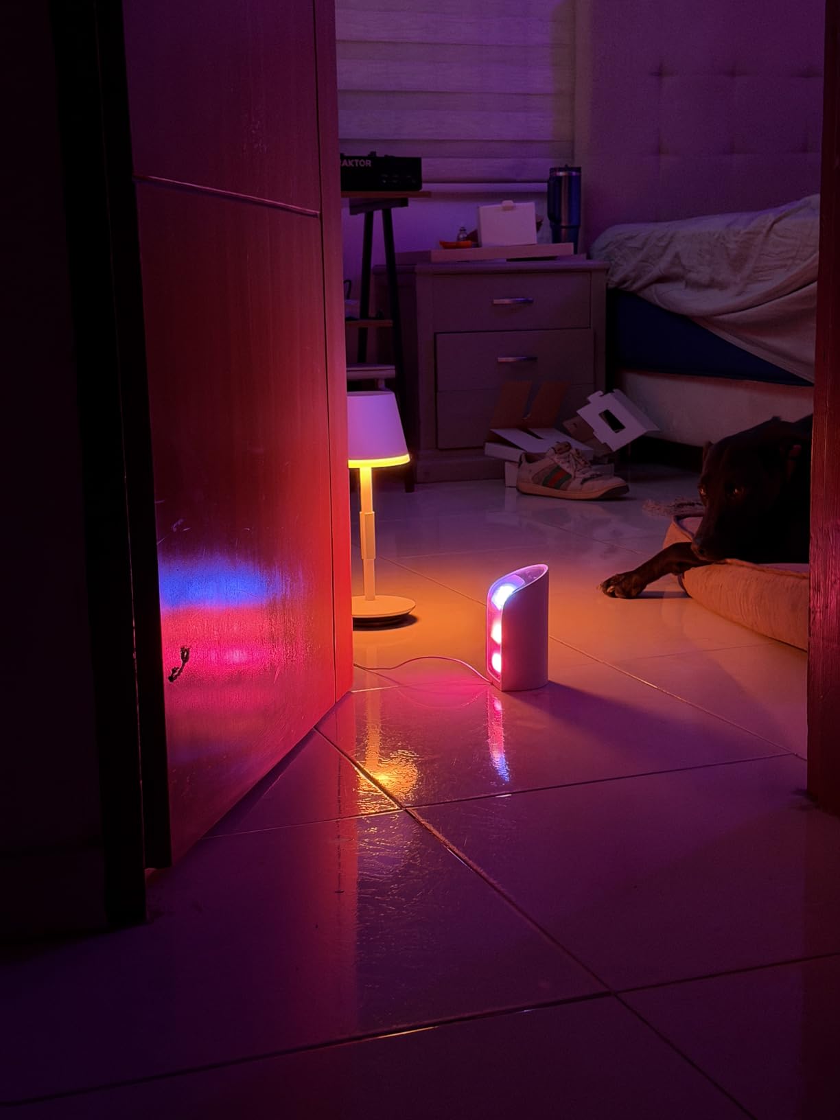 Philips Hue Go Smart Portable Table Lamp, White and Color Ambiance LED Color-Changing Light, Indoor and Outdoor Use, Control with Hue App or Voice Assistant customer photo 2