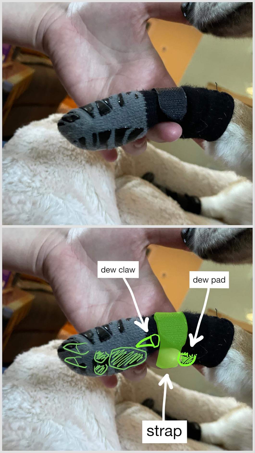 DOK TigerToes Premium Non-Slip Dog Socks for Hardwood Floors - Extra-Thick Grip, Prevents Licking, Slipping, and Paw Protection customer photo 2