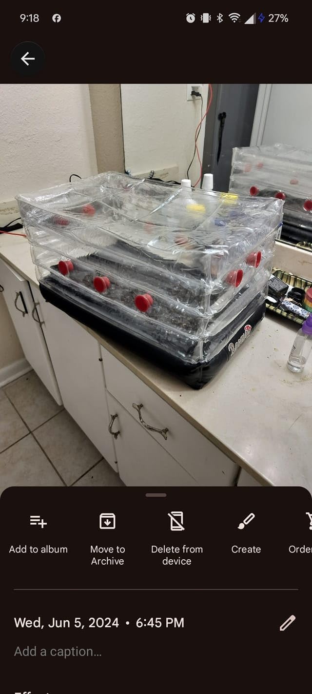 Boomer Shroomer Inflatable Monotub Kit, Mushroom Growing Kit Includes a Drain Port, Plugs & Filters, Removeable Liner customer photo 1