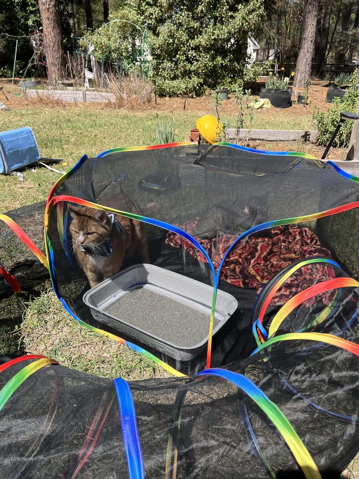 LUCKITTY Portable Cat Enclosure - 2-in-1 Outdoor Catio with Tent & Tunnel, Foldable Playpen for Indoor Cats, Includes Storage Bag for Cats & Small Animals Rainbow Color customer photo 2