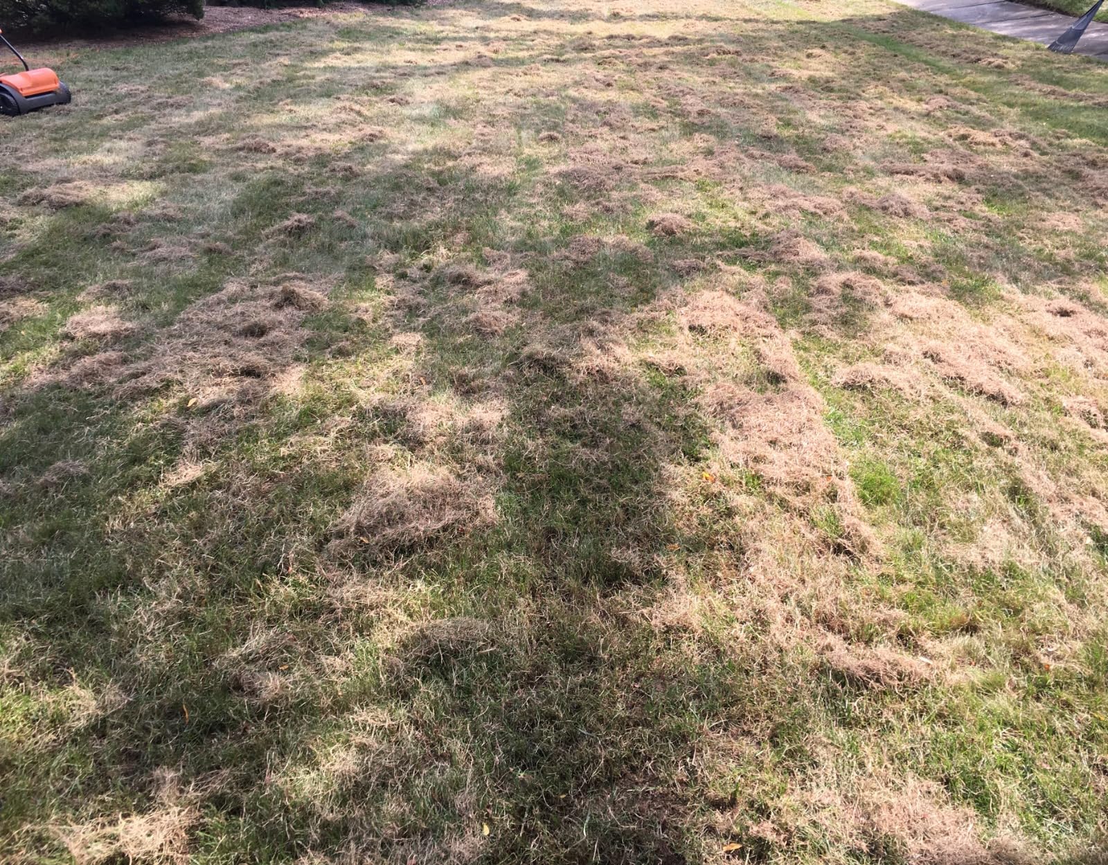 LawnMaster GVB1316 Electric 16