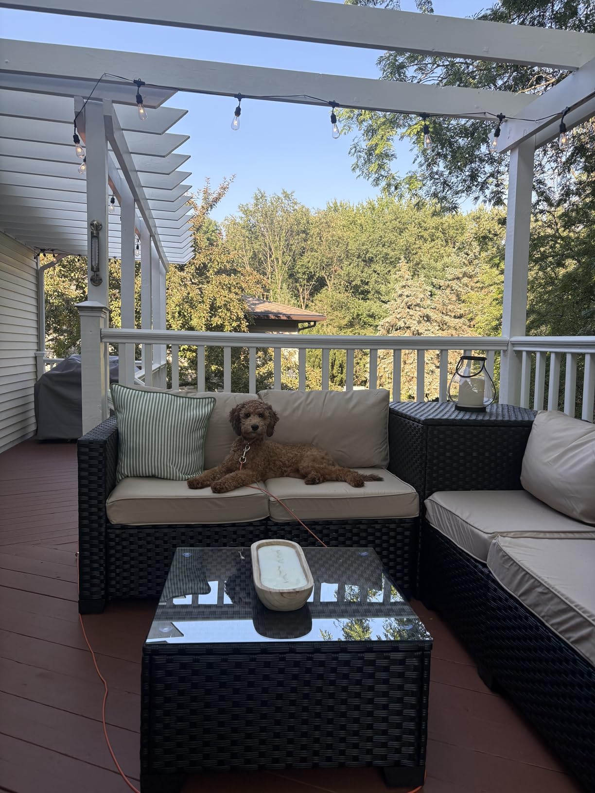WAROOM Patio Furniture Set 4 Piece Conversation Sets Black Rattan Outdoor Couch Loveseat Wicker Sectional Sofa with Storage Box Glass Top Table, Grey Cushion customer photo 1