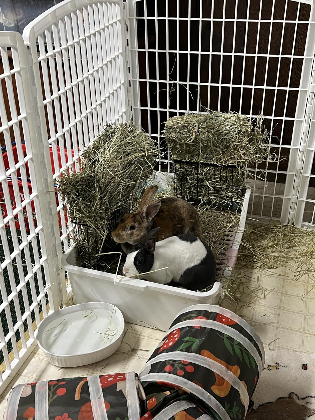 2PCS Rabbit Hay Feeder,Bunny Hay Feeder Rack with Metal Frame for Guinea Pig Chinchilla,Large Heavy-Duty Hay Holder Feeders for Rabbits Guinea Pigs, Small Animal Cage Accessories customer photo 1