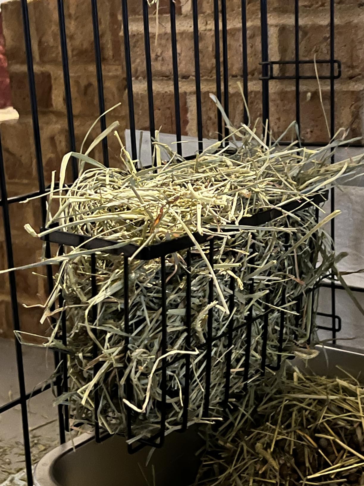 2PCS Rabbit Hay Feeder,Bunny Hay Feeder Rack with Metal Frame for Guinea Pig Chinchilla,Large Heavy-Duty Hay Holder Feeders for Rabbits Guinea Pigs, Small Animal Cage Accessories customer photo 2
