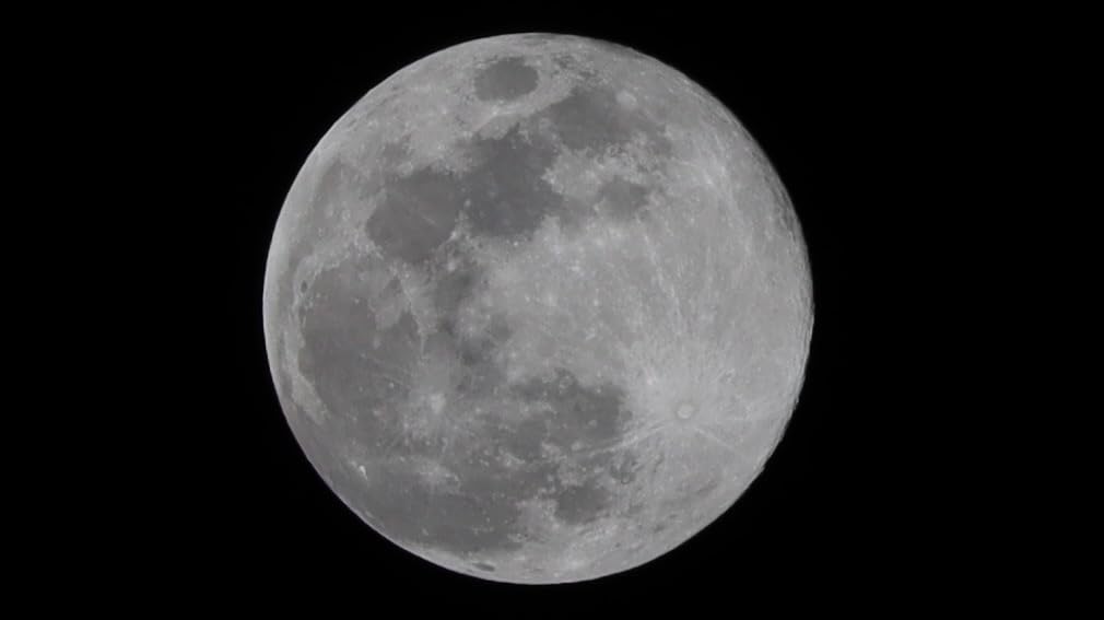 Canon RF-S55-210mm F5-7.1 is STM for Canon APS-C Mirrorless RF Mount Cameras (Renewed) customer photo 2