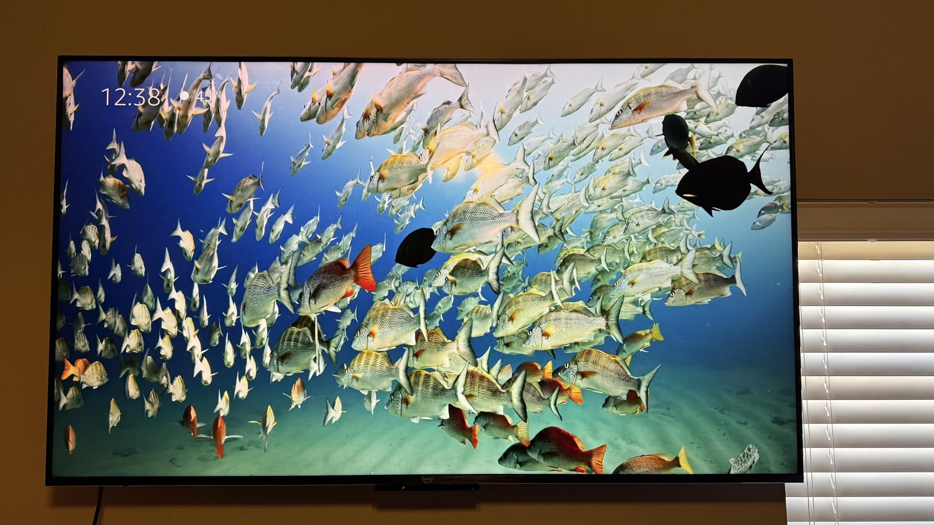 Amazon Fire TV 65