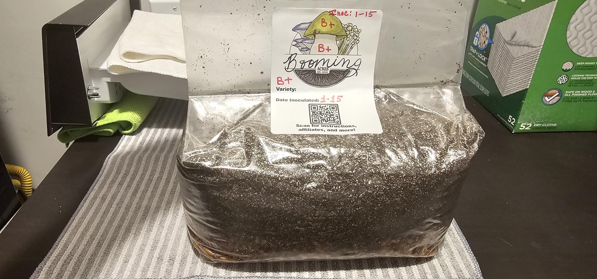 The Magical 5lb All-in-One Mushroom Grow Bag | Mushroom Grow Kit | Harvest Your own Happiness | Discover The Magic of Growing Mushrooms - 5lb Grow Bag Mushroom Starter Kit customer photo 1