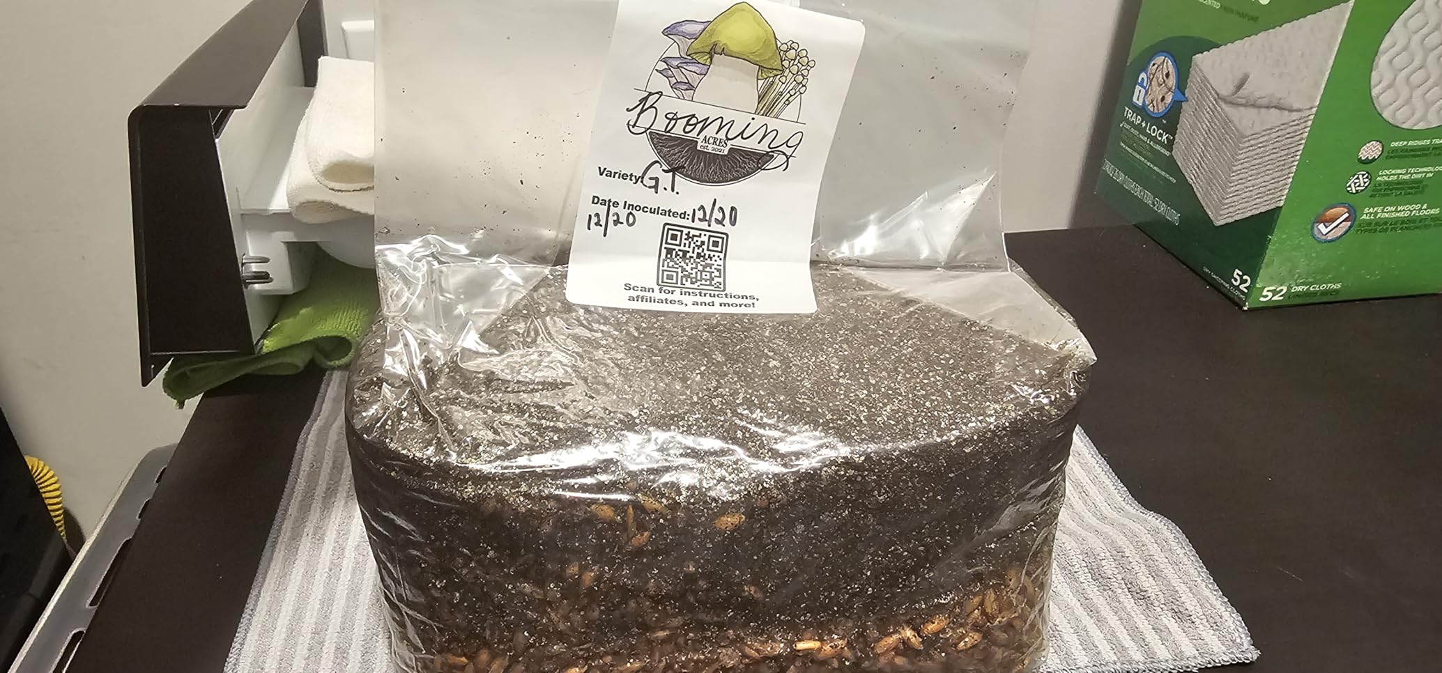The Magical 5lb All-in-One Mushroom Grow Bag | Mushroom Grow Kit | Harvest Your own Happiness | Discover The Magic of Growing Mushrooms - 5lb Grow Bag Mushroom Starter Kit customer photo 2