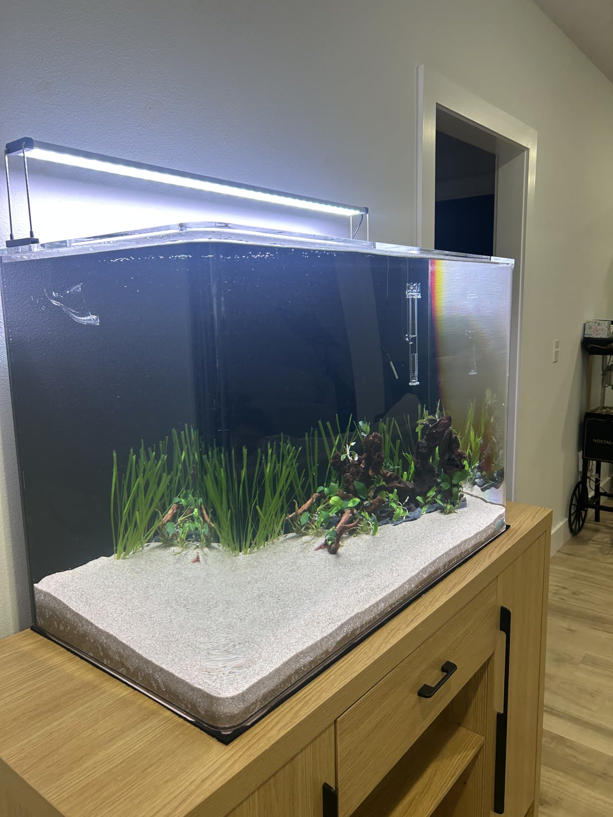 Chihiros B Series - Full Spectrum Dimmable Freshwater Aquarium LED Light, App Controlled for Planted Tank Aquascaping - Fits 30-50CM - B30 customer photo 2