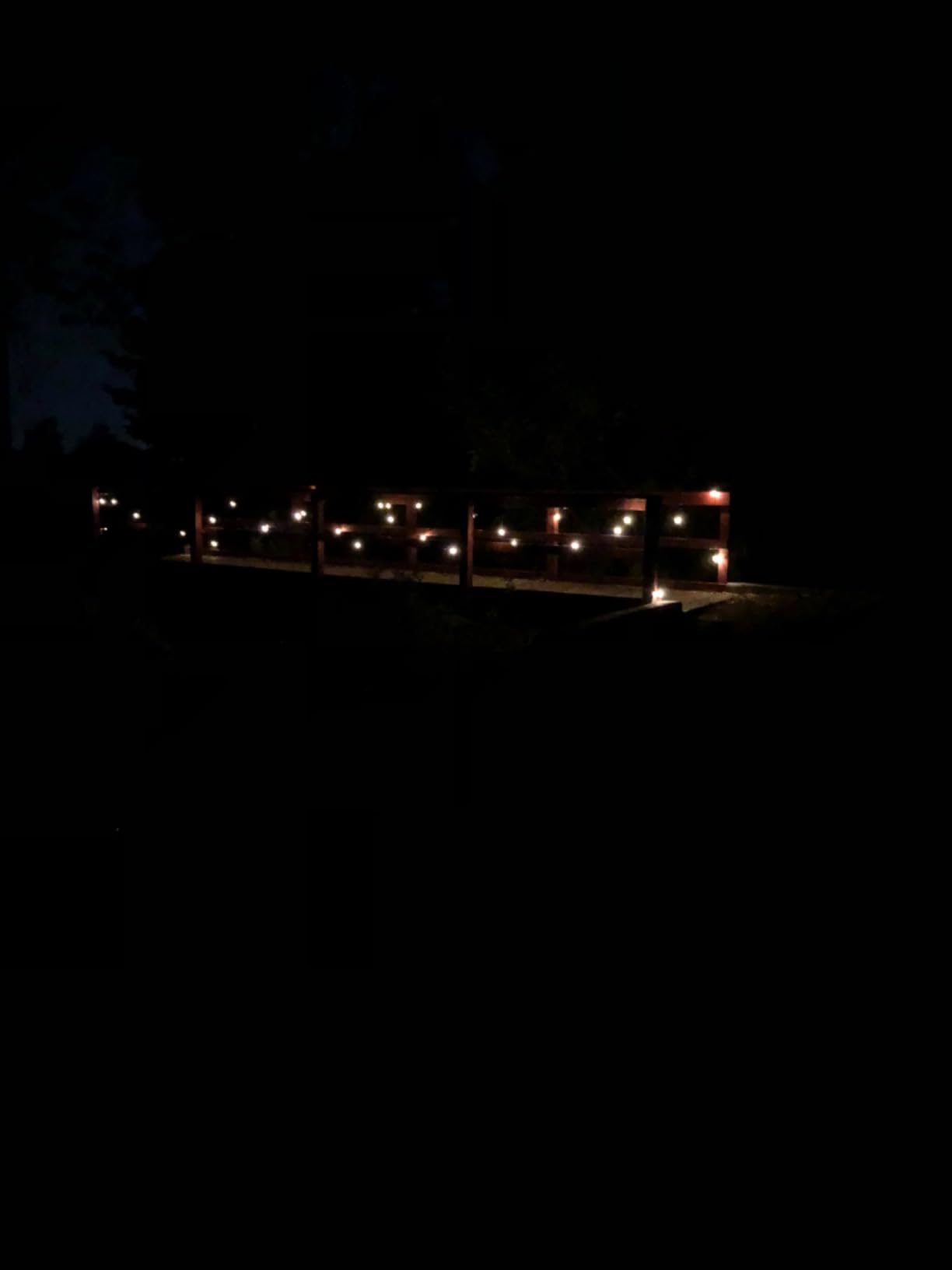 addlon 100FT Solar String Lights Outdoor with Remote, 54 LED Shatterproof Bulbs, Dimmable & Timable, 3 Light Modes, G40 Waterproof Solar String Lights for Outside Backyard Party Decor customer photo 2
