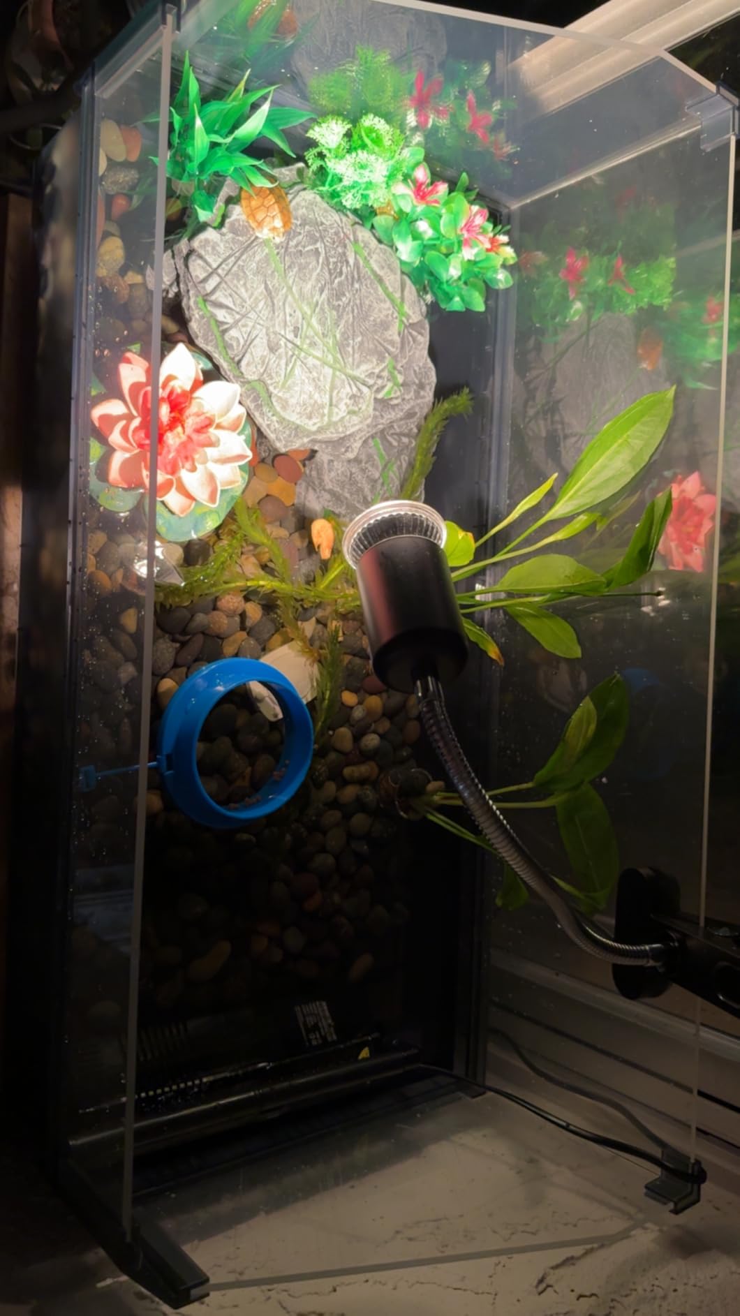 Large Turtle Tank Kit for Aquatic Turtles - Complete Starter Habitat with Filter, UVB Lamp, Basking Platform, Plants, Feeding Ring - Turtle Aquarium Kit (Black) customer photo 2